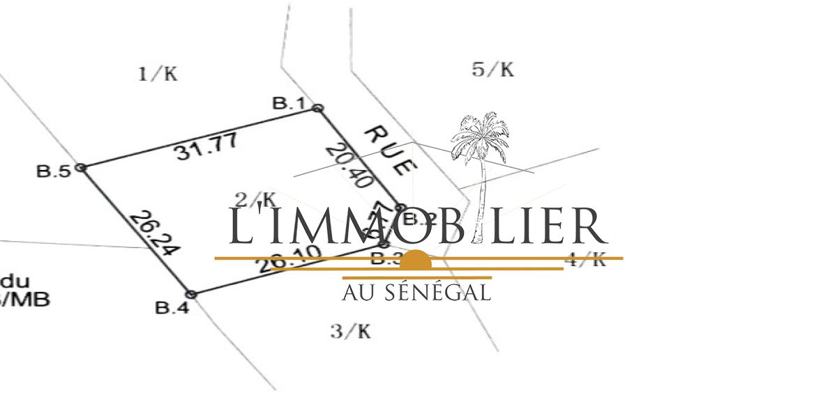 L'immobilier au Sénégal - VT0072 - Terrain à N'DIOROKH - IMG_9704